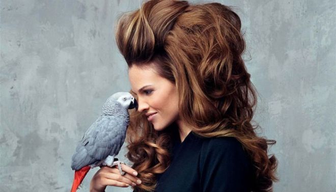 ��'���� ������� ���������� ����� �� ������ �������. ��������� ���� ���� ����. 