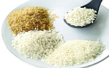rice.jpg (39.74 Kb)