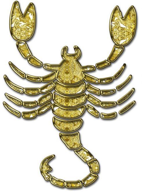skorpion.jpg (60.25 Kb)